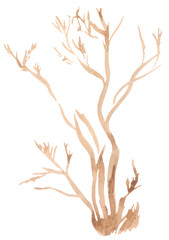 Watercolor tree, shrub without foliage. Well suited for printing, web, textile design, scrapbooking and many other creative fields.