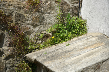 Artfully built walls with natural stone
