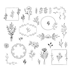 Set of nature design elements. Frames, borders, wreaths, leaves, herbs, flowers, bouquets. Vintage wedding style. Vector isolated illustration.