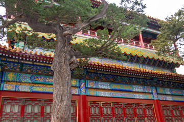 Decorative wall of one of the palaces of the Forbidden City in Beijing, China