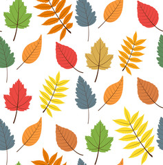Seamless  pattern with autumn leaves 