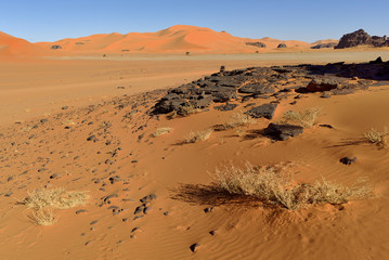Fototapeta na wymiar RED DESERT OF TADRART IN THE SAHARA REGION IN ALGERIA. SAND DUNES AND ROCK FORMATIONS. 