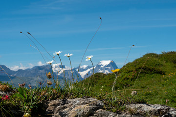 Bergwanderung