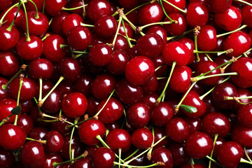 Sweet red cherries as background, closeup view