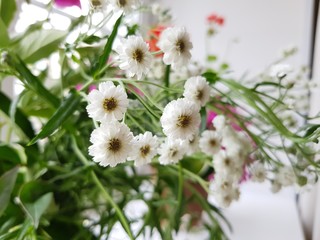 White flowers stand in a vase on the window