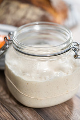 Sourdough starter