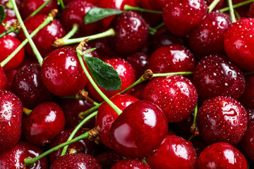 Sweet red cherries with water drops as background, closeup