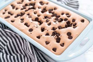 Chocolate ice cream