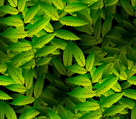 Seamless  pattern with  green leaves