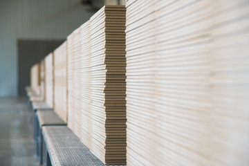 Factory for production of ceramic tiles. Conveyor line for ceramic tile at heavy plant