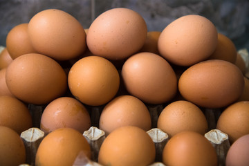 Poultry farm. Modern farming. Fresh brown eggs on a transportation line