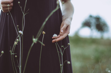 Hand gently holding a flower