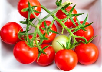 Fresh cherry tomatoes in close up