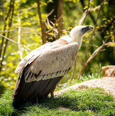 Animals in Zoo Ostrava Czech Republic