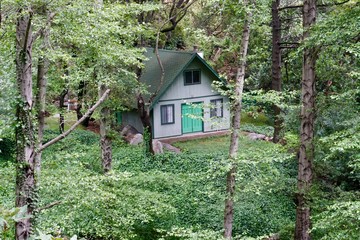 Fototapeta na wymiar house in the woods
