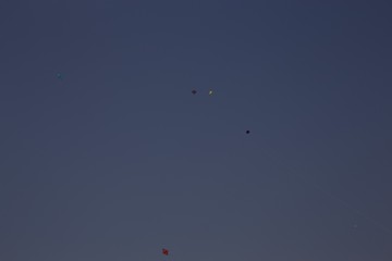 Kites in sky
