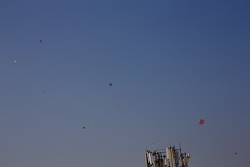Kites in sky