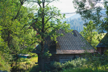 ancient village house in the carpathians. typical village house