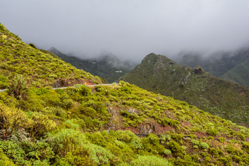 Fototapeta premium mystical fog is coming the mountains. mountains in the fog