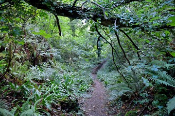 Beautiful view of the Trieux river path in Brittany. France