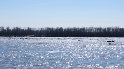 Close up sheets of ice floating on the Ob River.