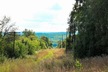 Obraz premium Street in an abandoned village overgrown with grass