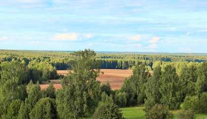 Top view of a plowed field and endless taiga