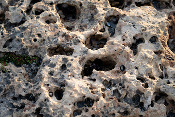Textured Rock