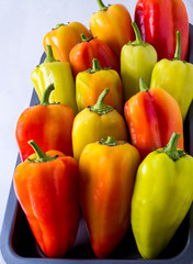 Red yellow and green pepper on a tray, side view