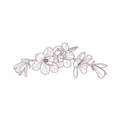 Premade arrangement magnolia flowers. Hand drawn magnolia for greeting card