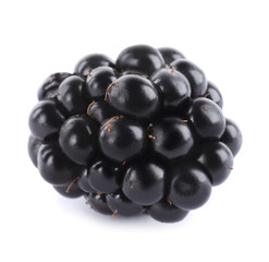 Beautiful tasty ripe blackberry on white background