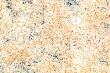 Beige beautiful textured background with small twigs. High resolution texture for background and design.