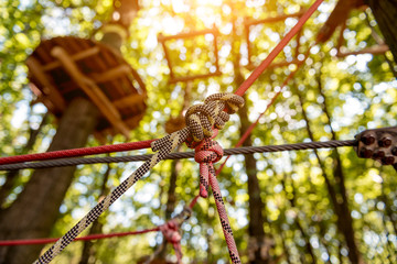 Rope park in a forest. Adventure summer park.