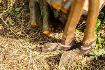 Two old axes on the hay