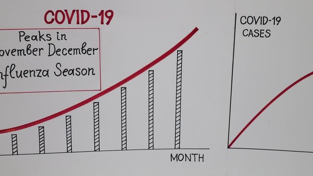 Visual information at the lecture on the likelihood of a second wave of Covid-19