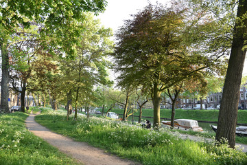 Canal boisé à Utrecht, Pays-Bas