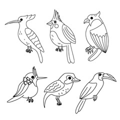 .Set of birds linear art hand drawing. The bird profile is tropical and flattering. Vector illustration