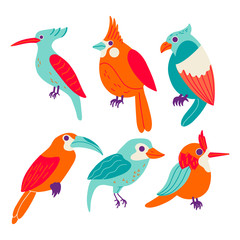 Set of birds color flat illustration drawing. The bird profile is tropical and flattering. Vector illustration for cards, brochures, posters and decor.