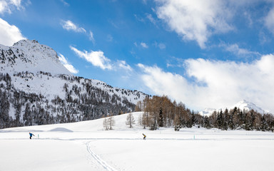 Fototapeta na wymiar Perfect day for cross country ski in the sunny Swiss alps