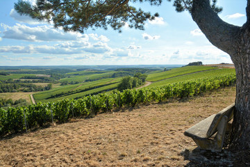 Plateau de Blu (Aube)