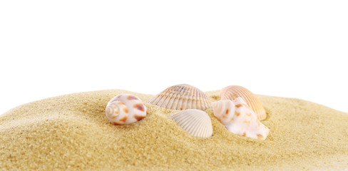 Fototapeta na wymiar Beautiful exotic sea shells and sand on white background