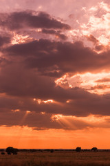 clouds and sunrays in summer 