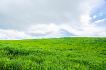 霧ヶ峰高原　夏