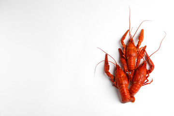 Delicious boiled crayfishes isolated on white, top view