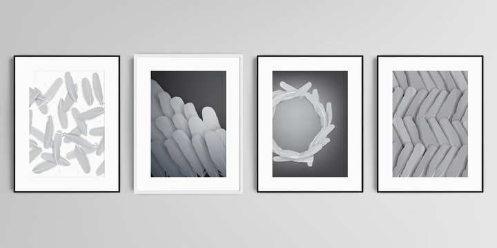 Realistic vector set of picture frames in A4 format isolated on gray background. Feathers, birds plumage in abstract style. Graphic pattern. Vector illustration design.