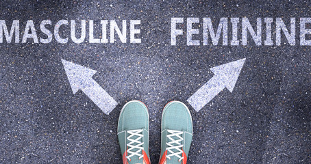Masculine and feminine as different choices in life - pictured as words Masculine, feminine on a road to symbolize making decision and picking either one as an option, 3d illustration