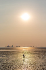 Ebbe an der Nordsee bei Sonnenuntergang