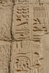 Egyptian ancient hieroglyphs on the stone wall