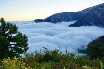 Naklejka premium mountain landscape with fog and clouds