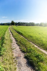 Fototapeta na wymiar Czech Republic summer landscape with country road. Rural farm field road landscape.